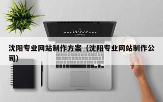 桓台沈阳专业网站制作方案（沈阳专业网站制作公司）